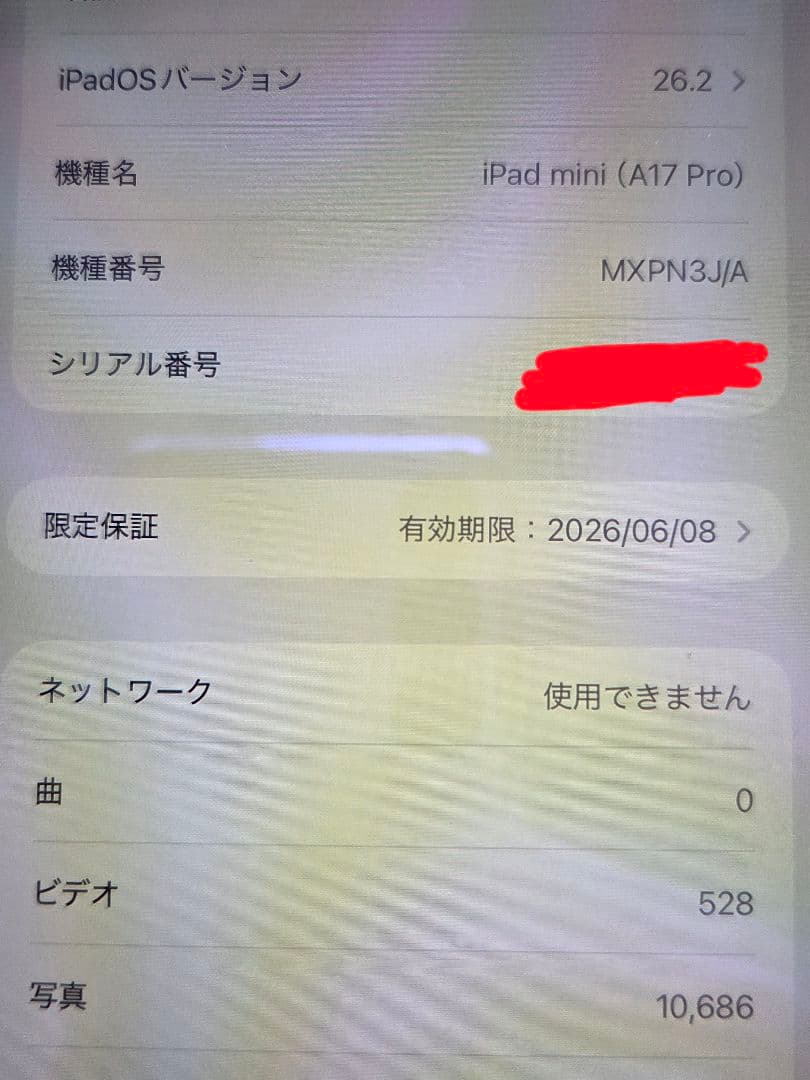 iPad mini (A17 Pro) Cellular　箱無し本体のみ