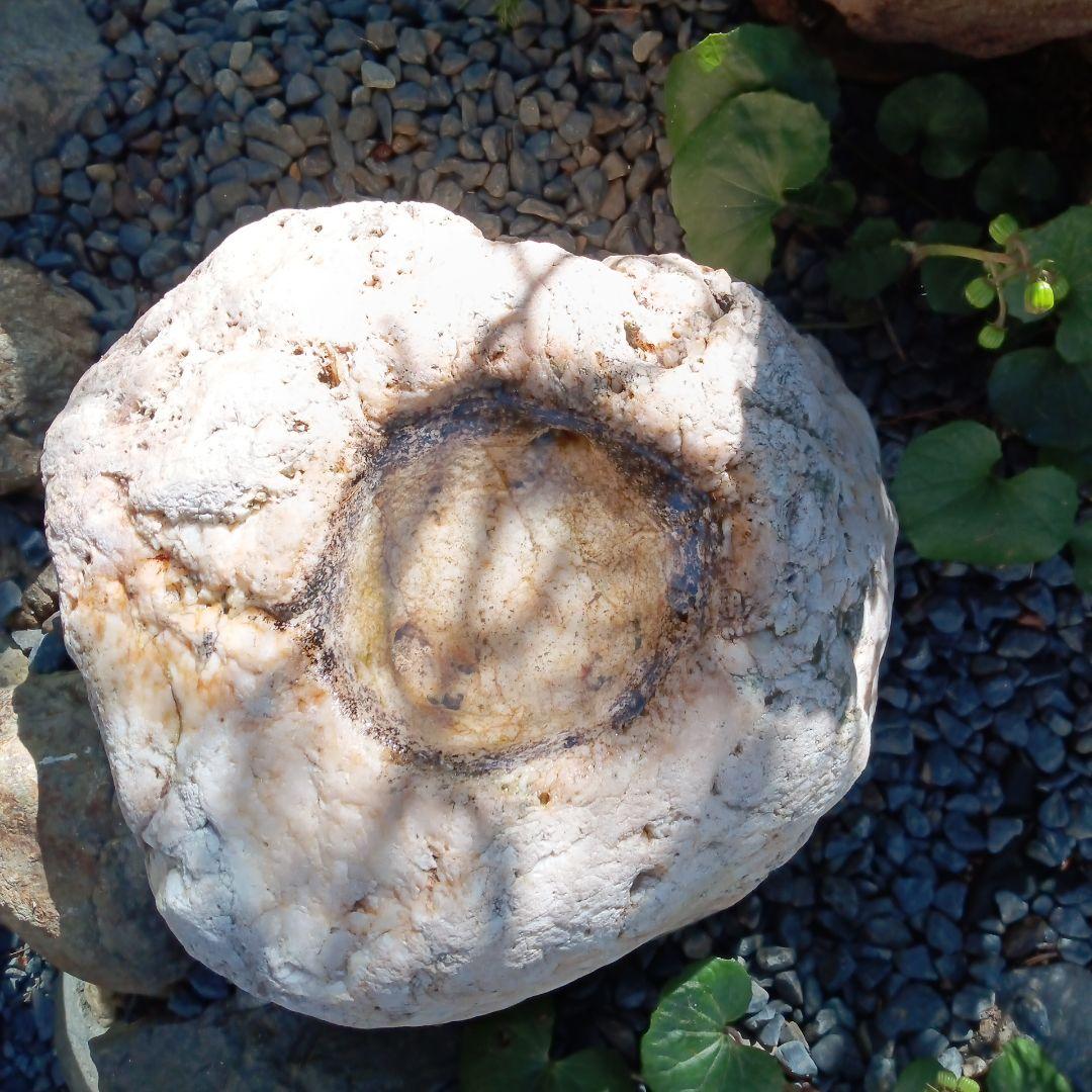 蹲　手水鉢　庭石　灯籠　臼　ガーデニング　園庭　オブジェ