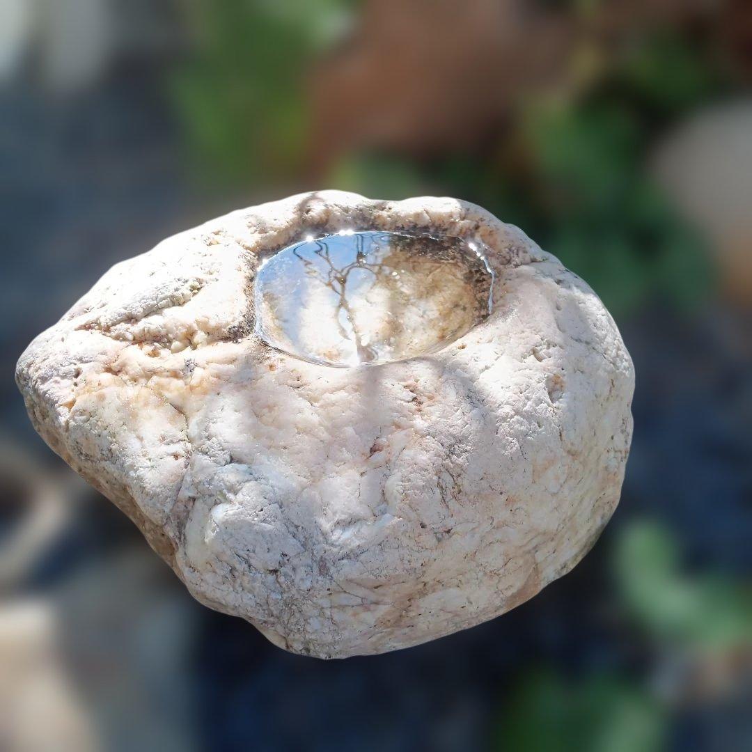 蹲　手水鉢　庭石　灯籠　臼　ガーデニング　園庭　オブジェ