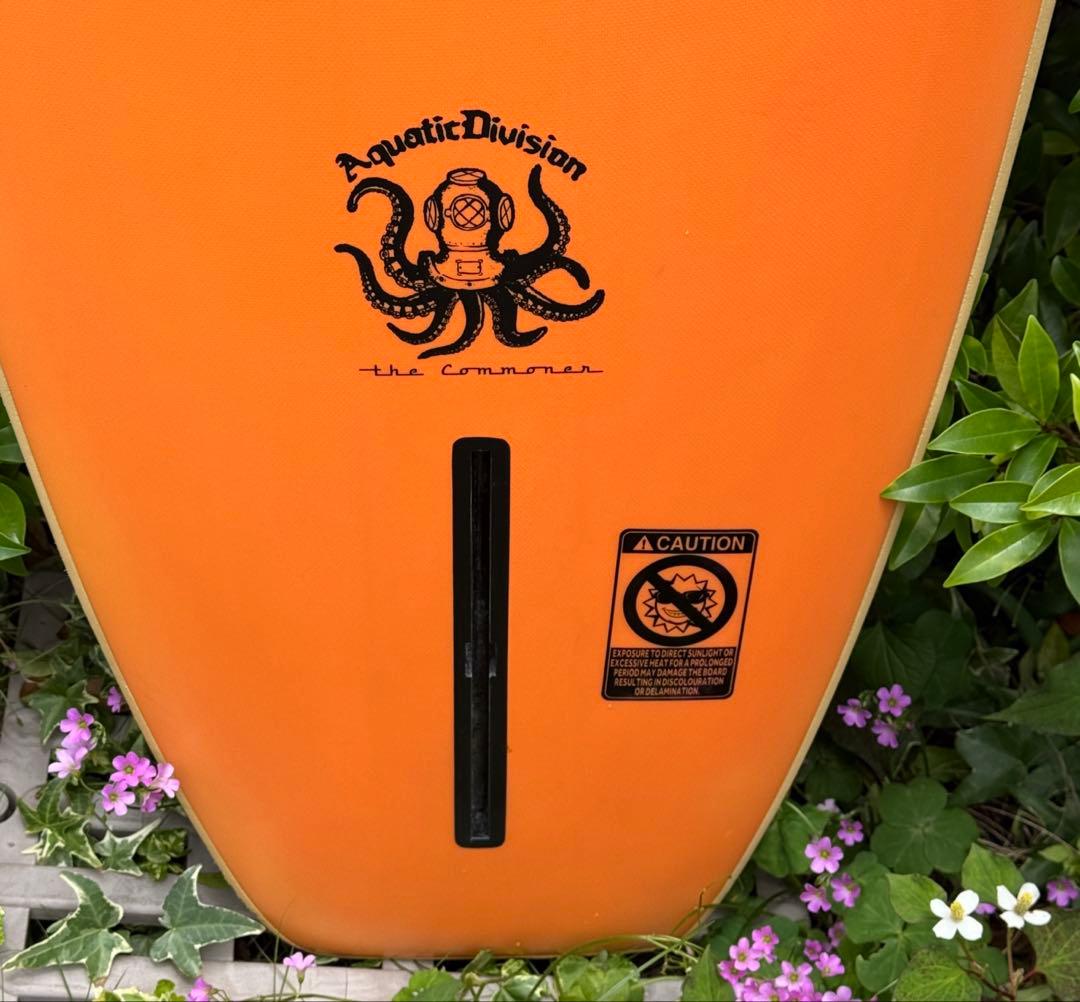 再値下げ！極美品！BEACHED DAYS The Commoner9'6”