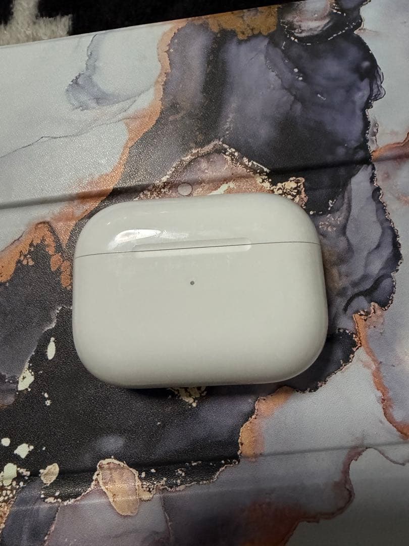 AirPods pro 本体 casetify ケース付き