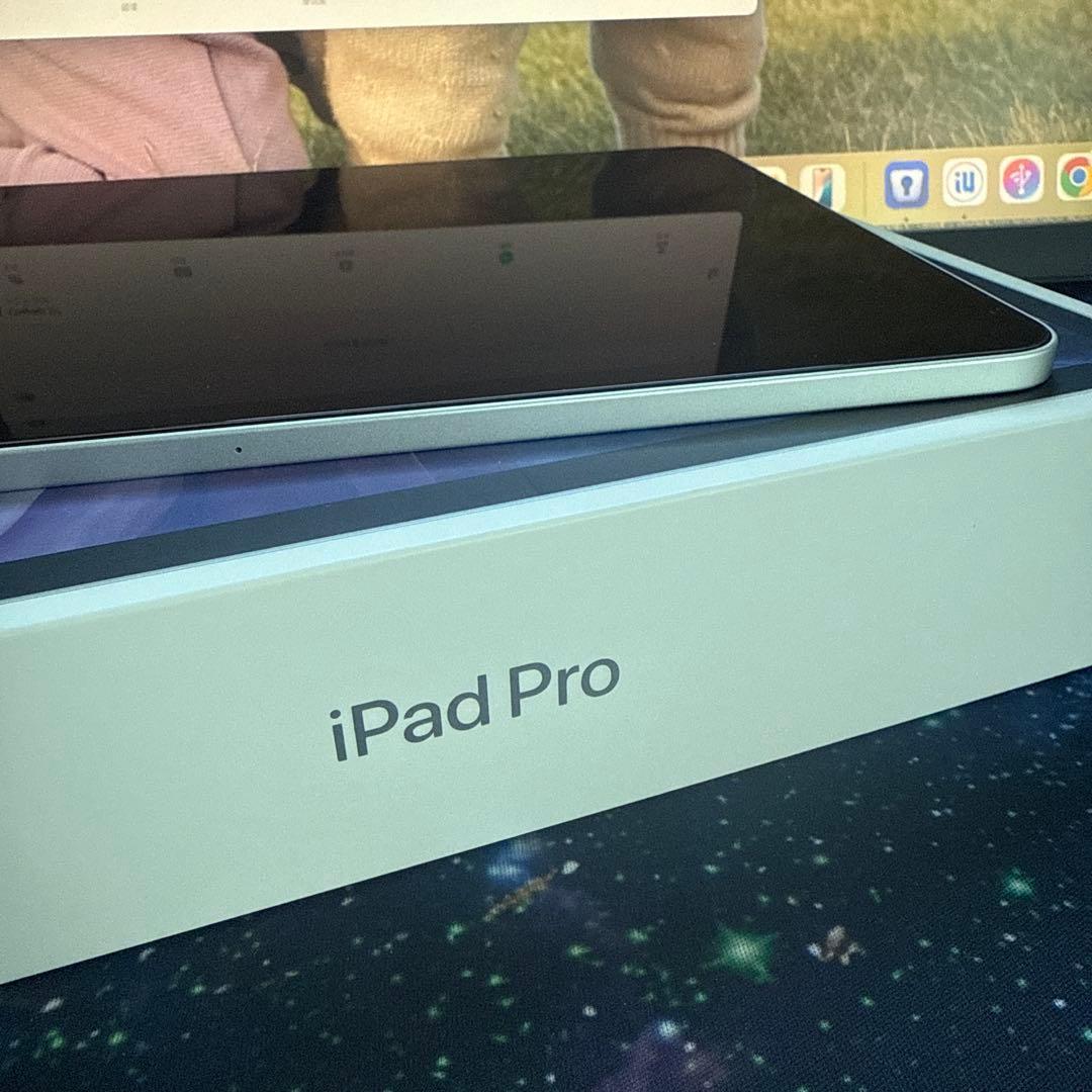 iPad Pro 11インチ 第二世代 256GB WIFI シルバー 箱付き