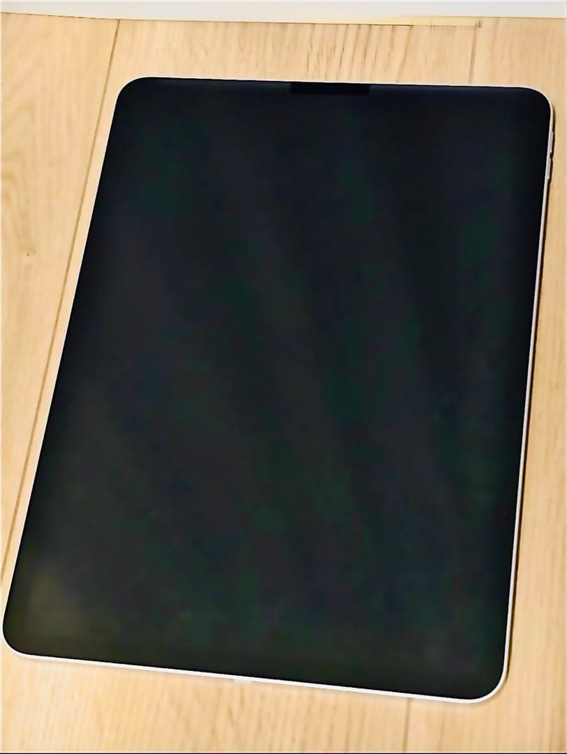 Apple iPad Pro 11インチ シルバー 本体