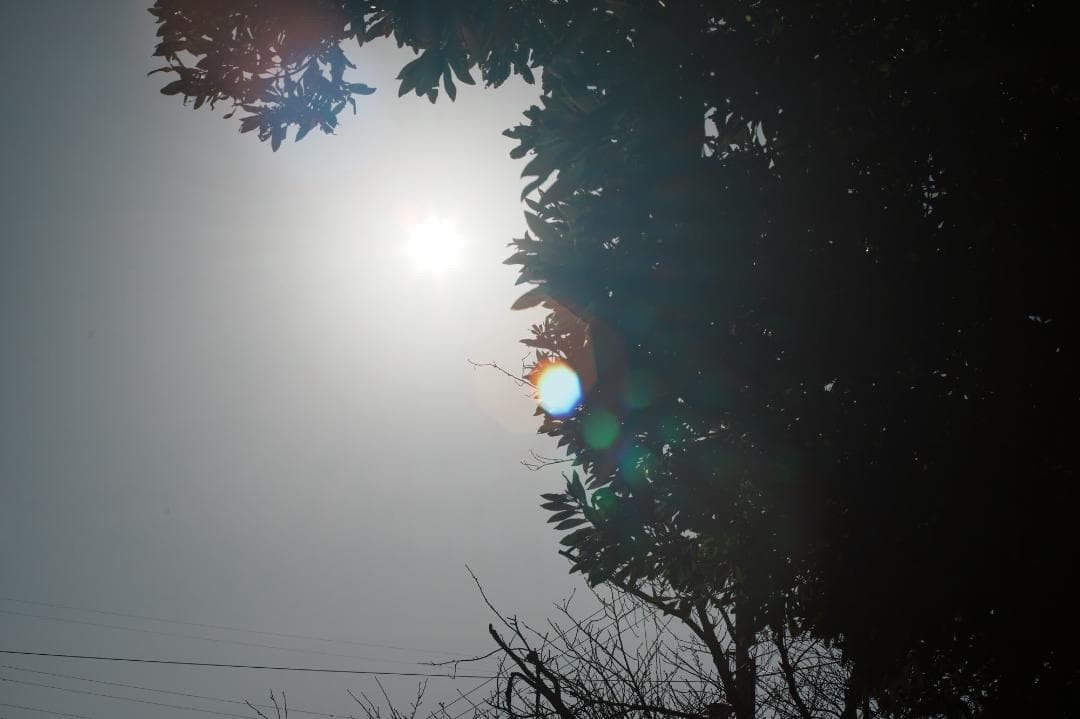 【鷹の目】MC ROKKOR-PG 58mm F1.2 前期 518