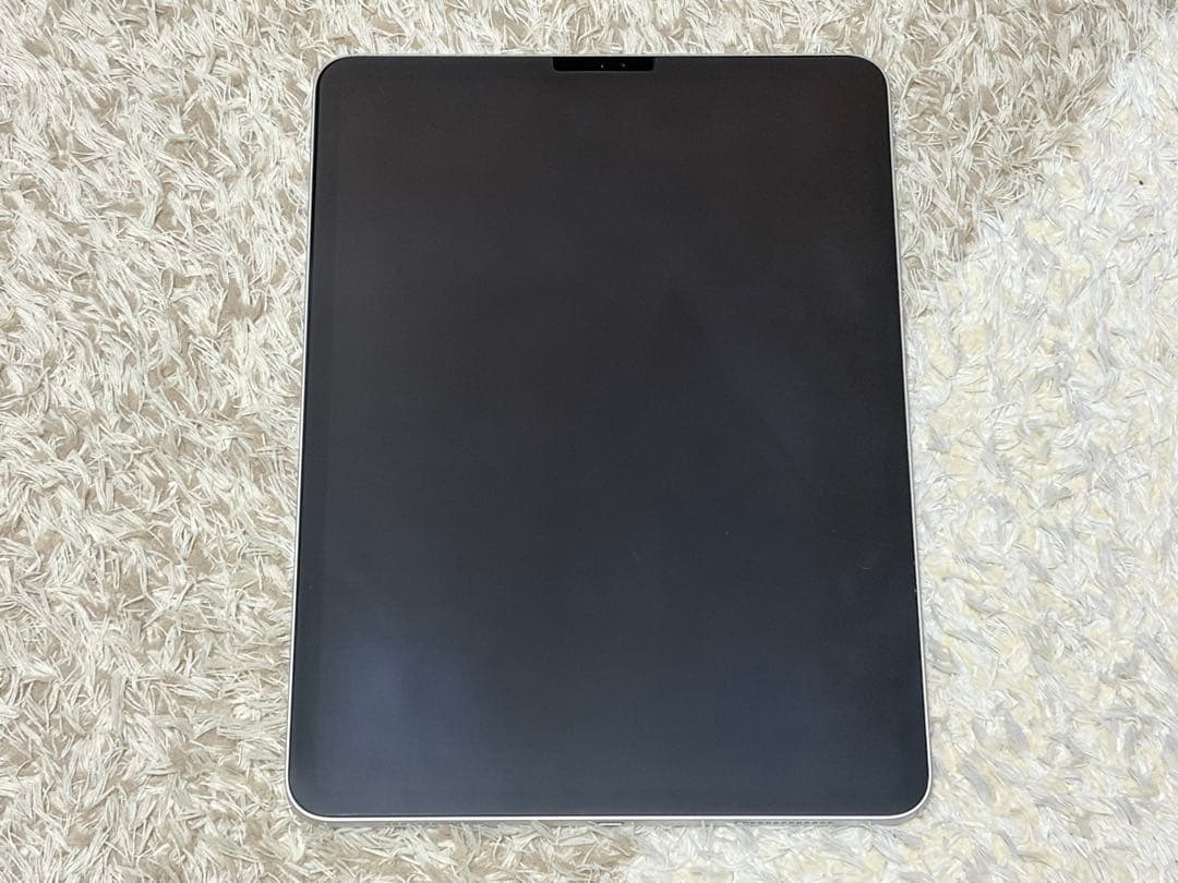 Apple iPad Pro 11インチ 第2世代 128GB Wi-Fi