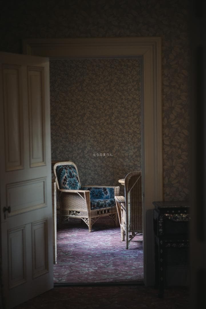 良品！CONTAX屈指の解像！SONNAR 85mm AEG オールドレンズ