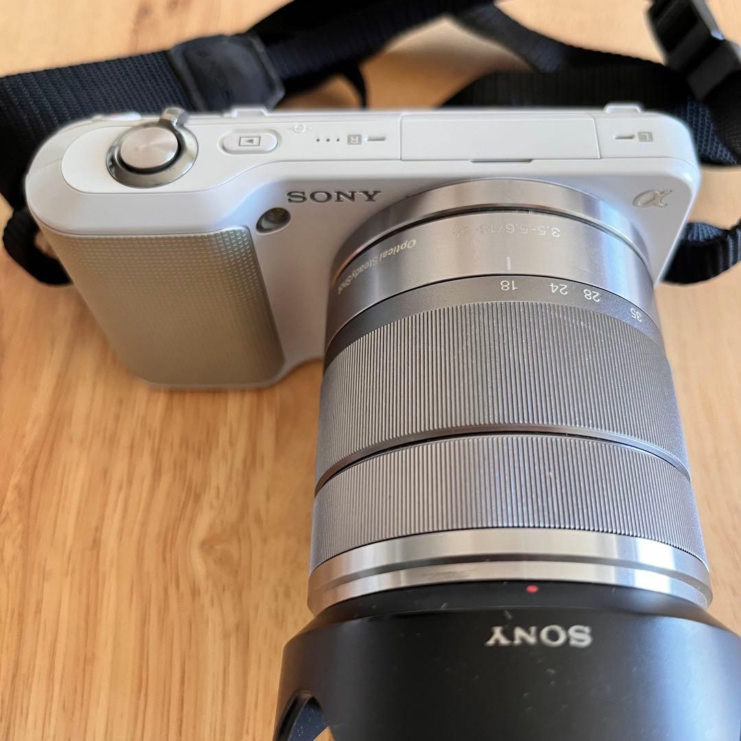 【ピンクの猫】SONY NEX-3 18-55mm F3.5-5.6