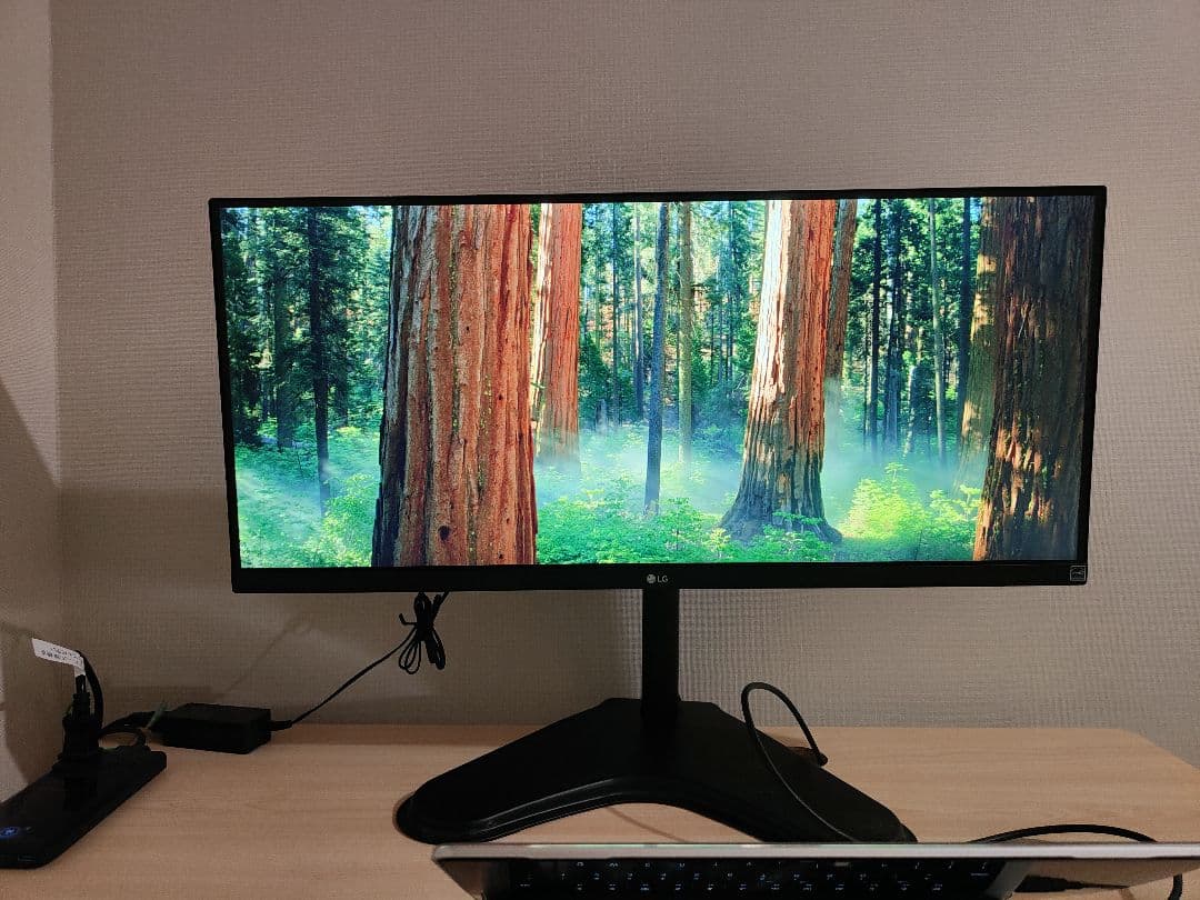 LG UltraWide 29インチ モニター 29WQ500-B