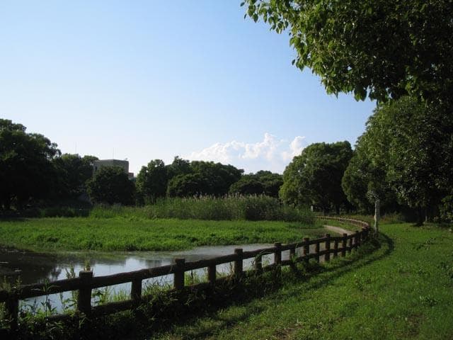 【動作確認済】Canon IXY DIGITAL L2 PC1108 スマホ転送