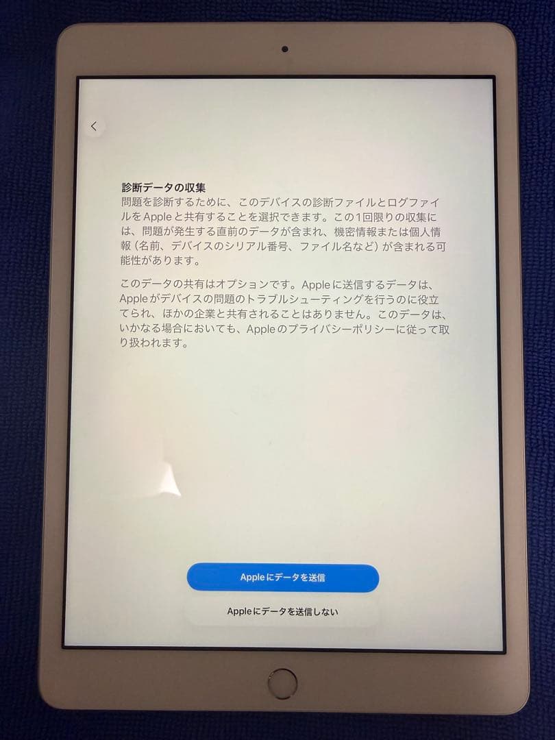 iPad (第8世代) Wi-Fi+Cellular SIMフリー 【ジャンク】