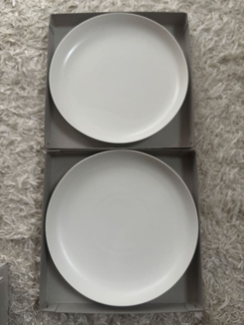 イイホシユミコ プレート リイラボ 2枚セット