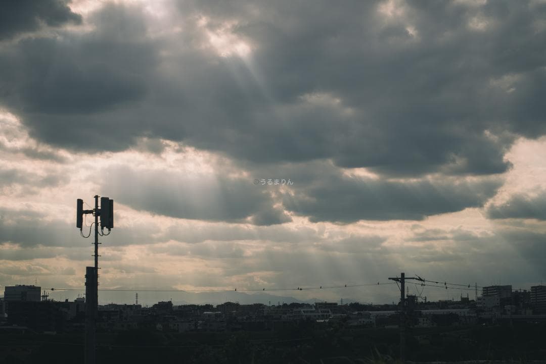 ライカの神マクロ！Leica Elmar 65mm F3.5 Visoflex