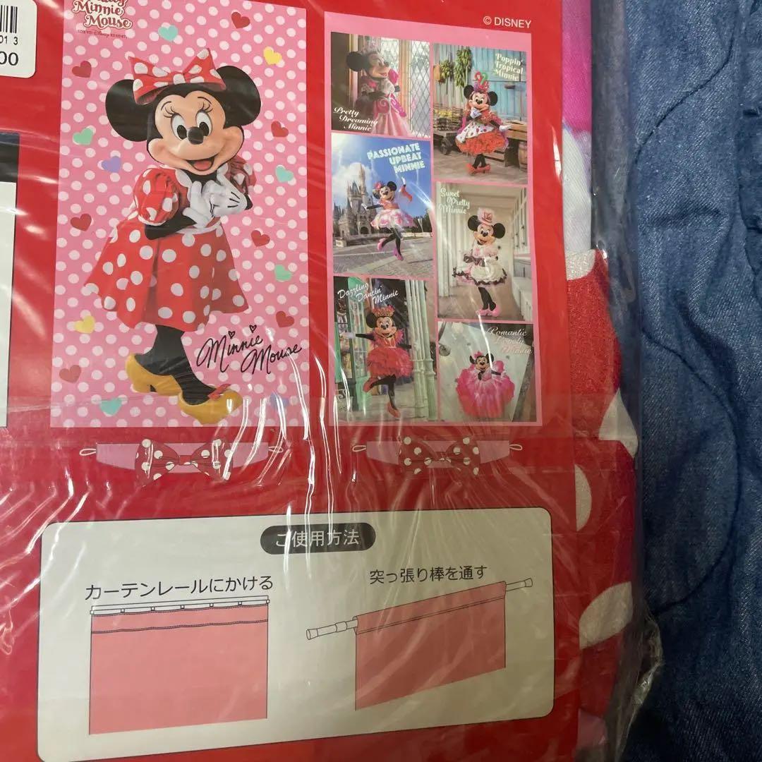 トータリーミニー　カーテン　パルパルーザ　ミニパル　ミニー　ミニパル　ディズニー