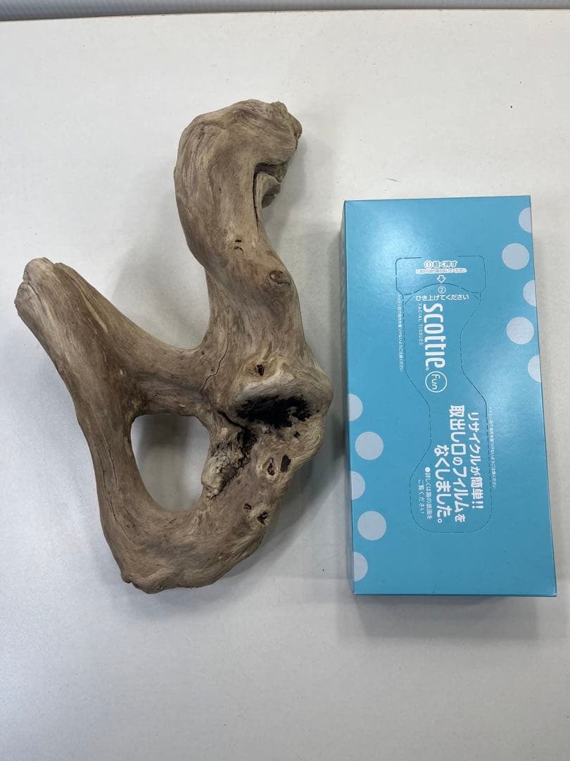 R70アク抜き済み流木 爬虫類シェルター レイアウト用 インテリア エアプランツ