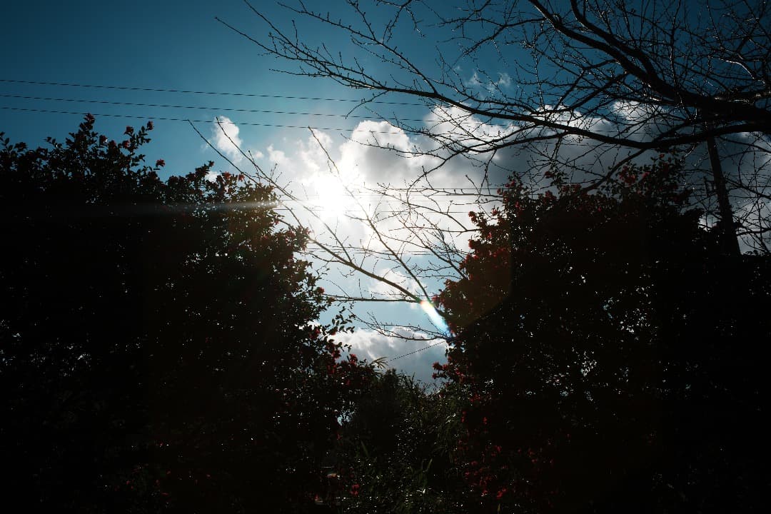 【整備＆テスト】オリンパス Zuiko auto-w 28mm F2.8 874