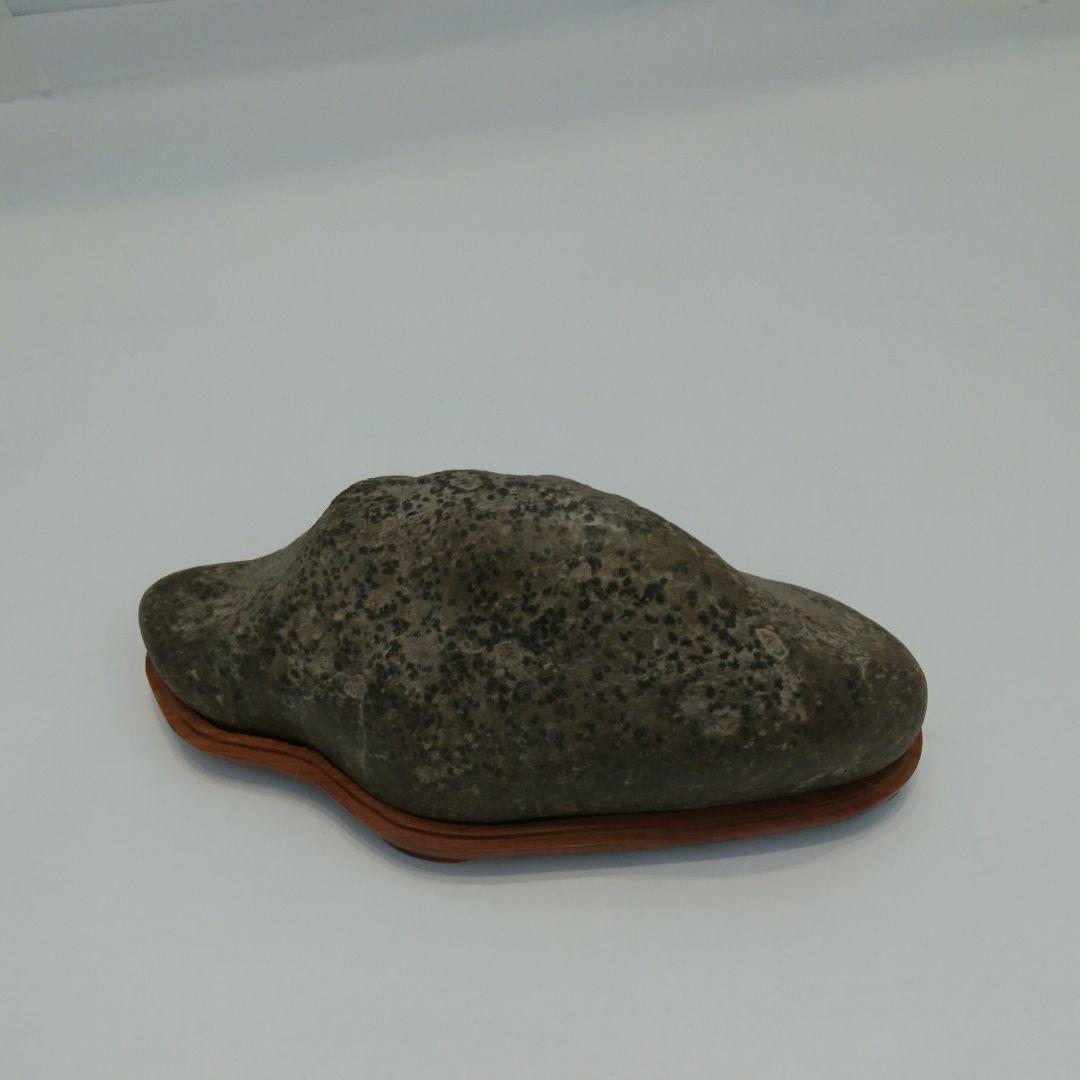 鑑賞石　盆石　瀬田川石