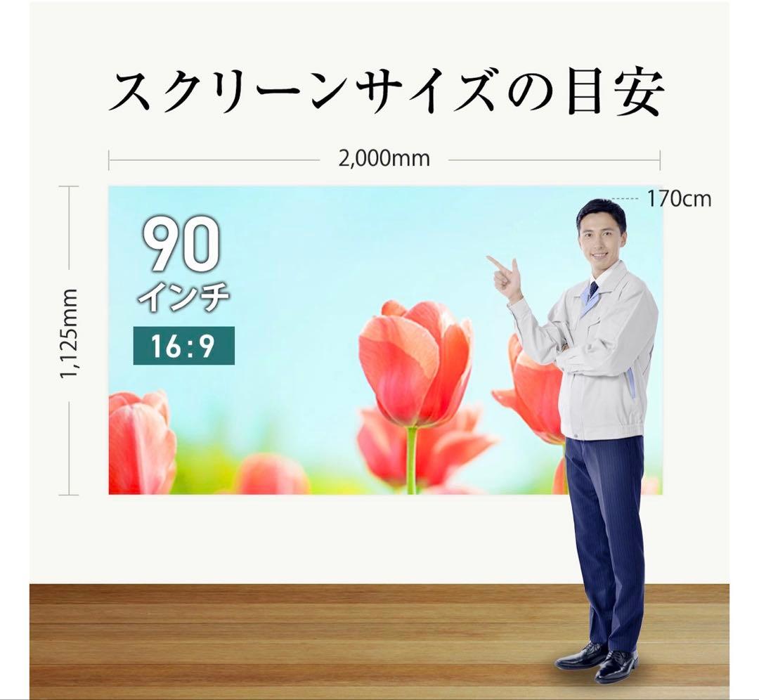 ✨シアターハウス 掛け軸スクリーン 90インチ