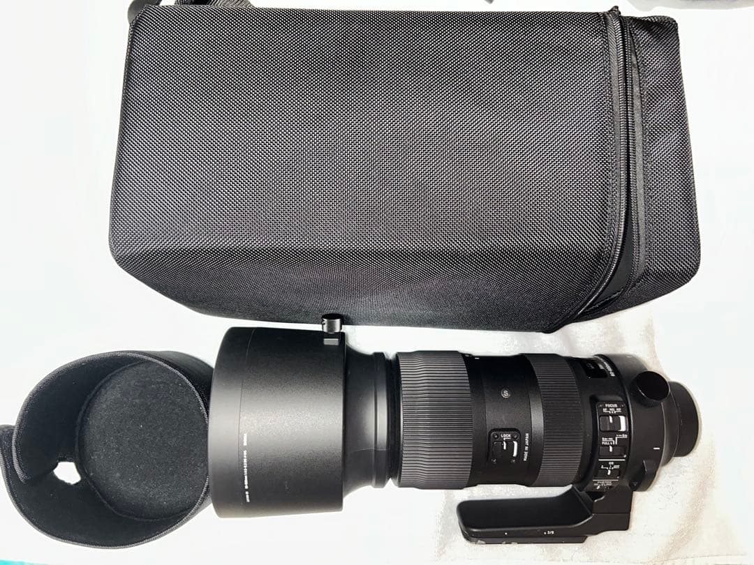 Nikon d500 SIGMA sport 60-600 バッテリーグリップ