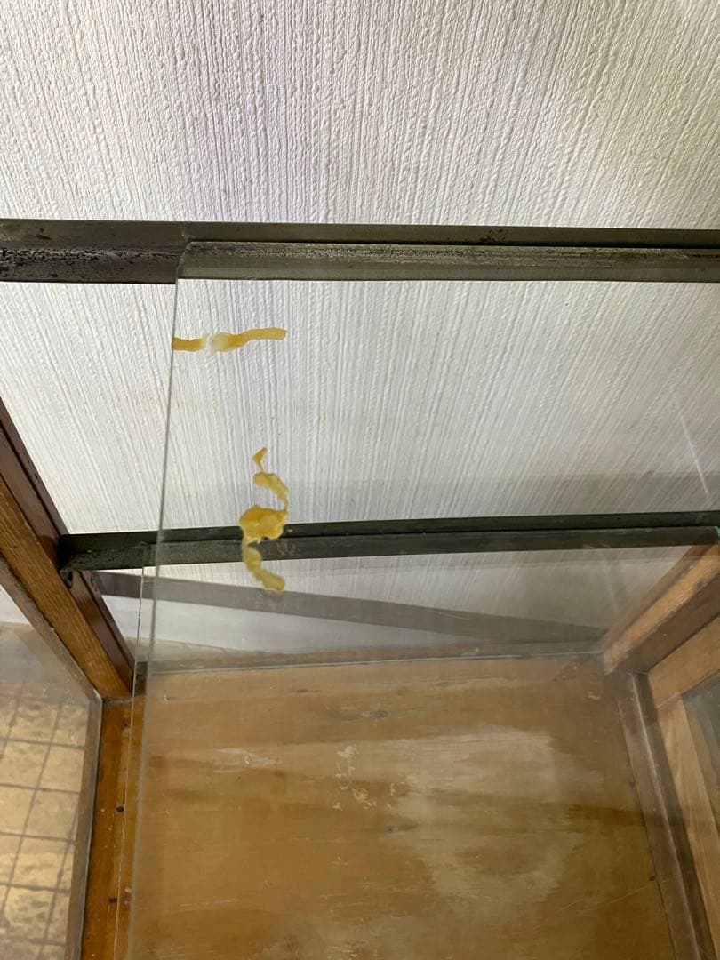 レトロ商品　木製ガラスケース　商品ケース2段棚付き