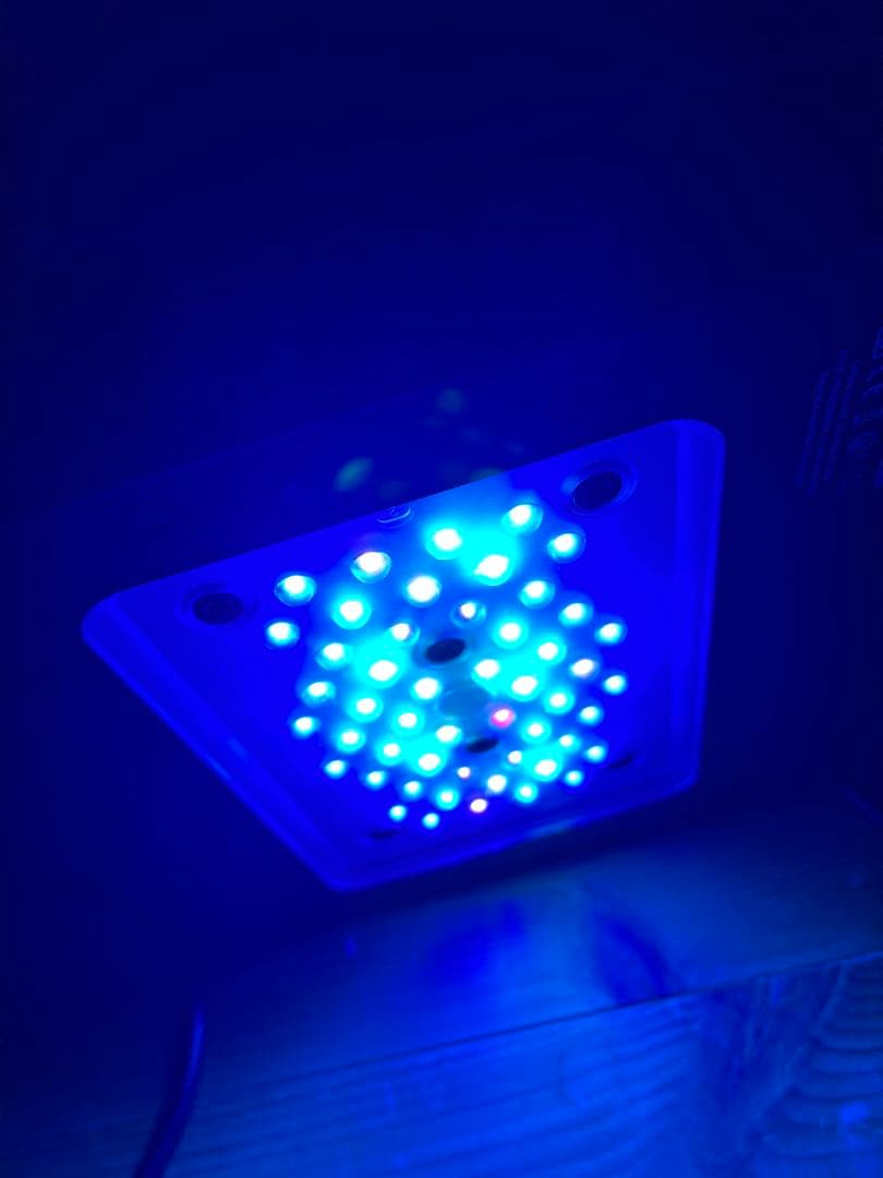 ラディオン G5 radonG5 XR15 blue 専用アーム付き