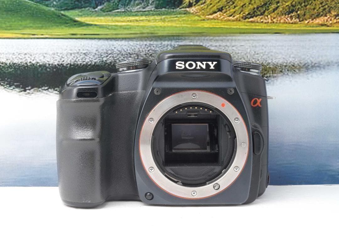 SONY α100 軽量ボディ＆使いやすさ抜群 おすすめの1台