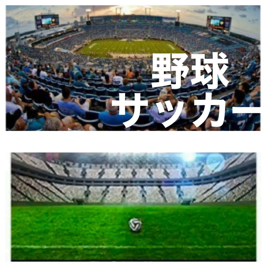 最安！Canon EOS 一眼レフカメラ対応 望遠ズームレンズ　サードパーティ製