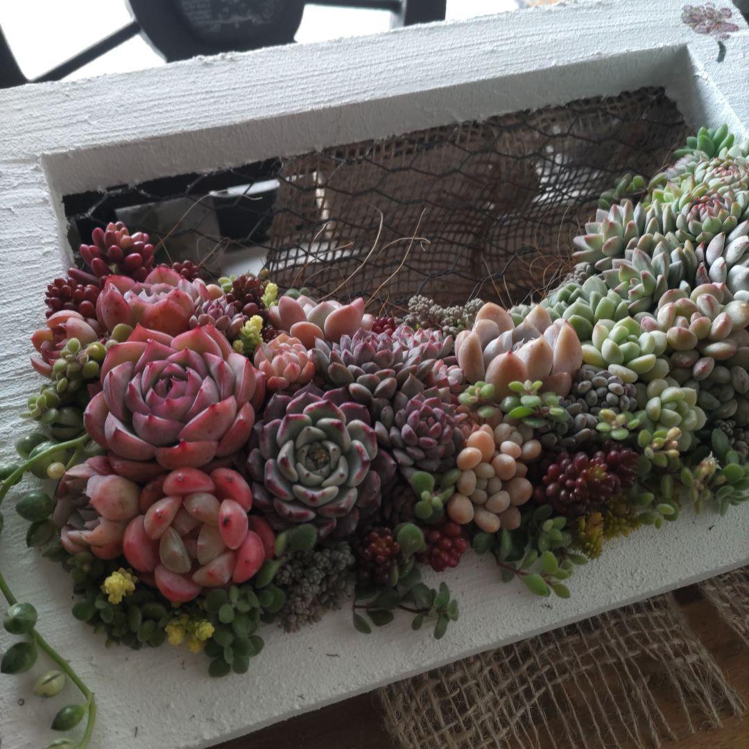 ジュリアンオーダーページ