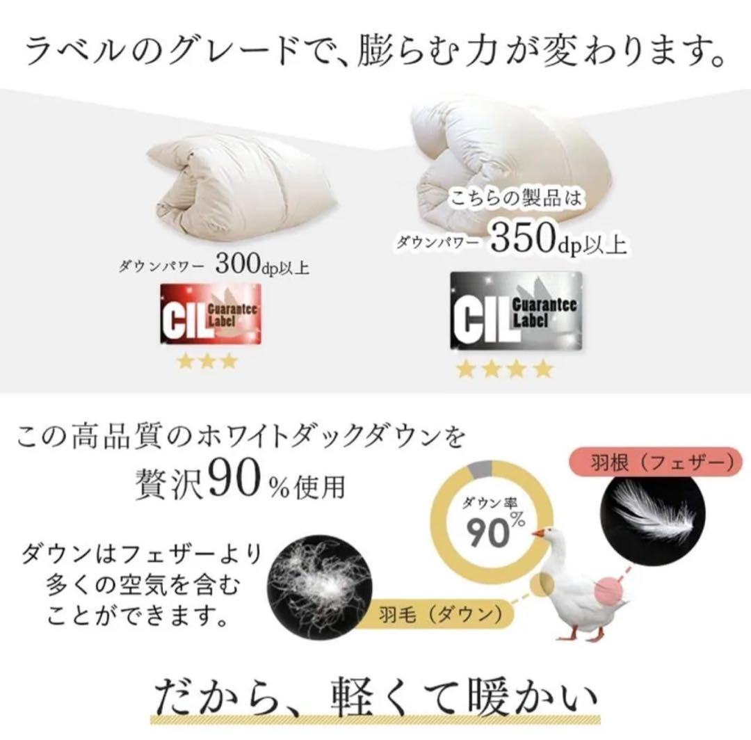 羽毛布団 シングル ポーランド産ホワイトダックダウン90% フェザー10%