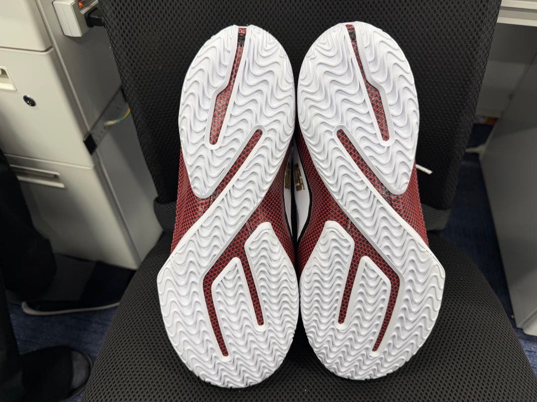 レブロン 23 EP 28.5cm グランド オープニング