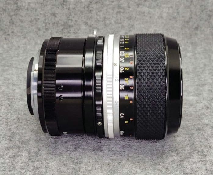 Micro-NIKKOR-P Auto55mm f/3.5　M2リング付