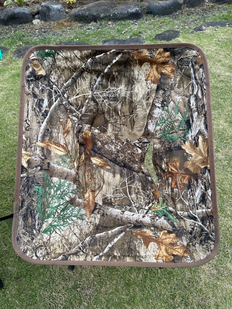 Helinox チェアワンタクティカル　リアルツリー　廃盤品　レア　ヘリノックス