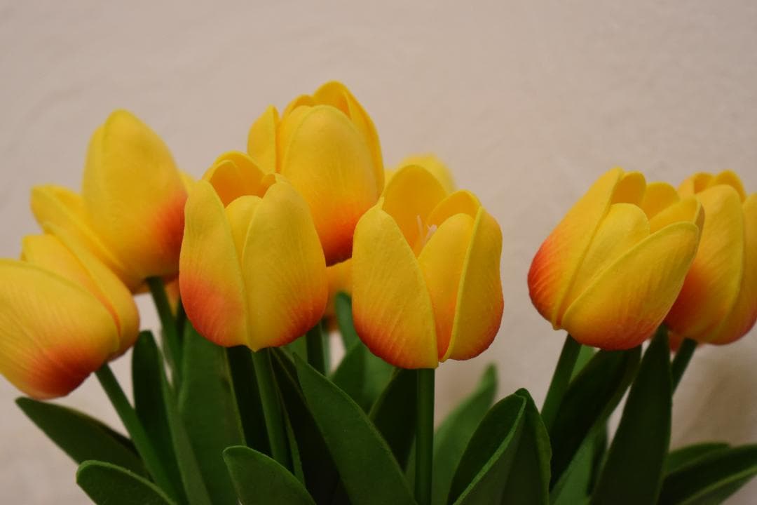 ✨綺麗に撮れる✨Wi-Fi✨初心者に✨Nikon D3500　987-1