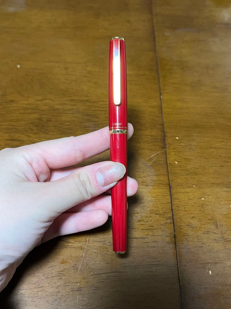 【ケース付き】PILOT　万年筆　14K-585 FCM500RR　パイロット