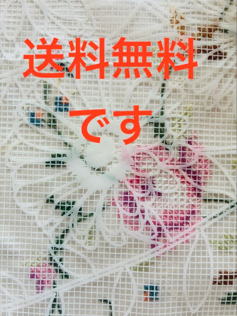 K12 厚岸ホテイアツモリソウ