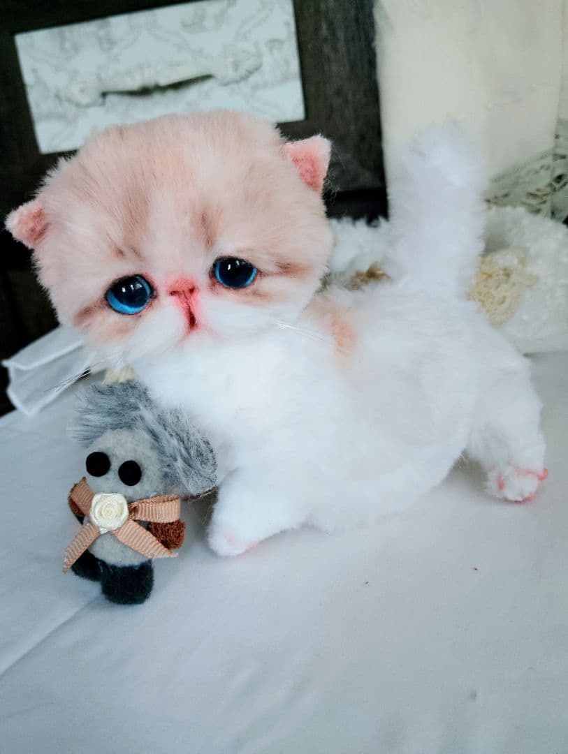 もちもちボディ♡エキゾチック子猫ちゃんとチュチュちゃん♡カゴ♡アートドール♡