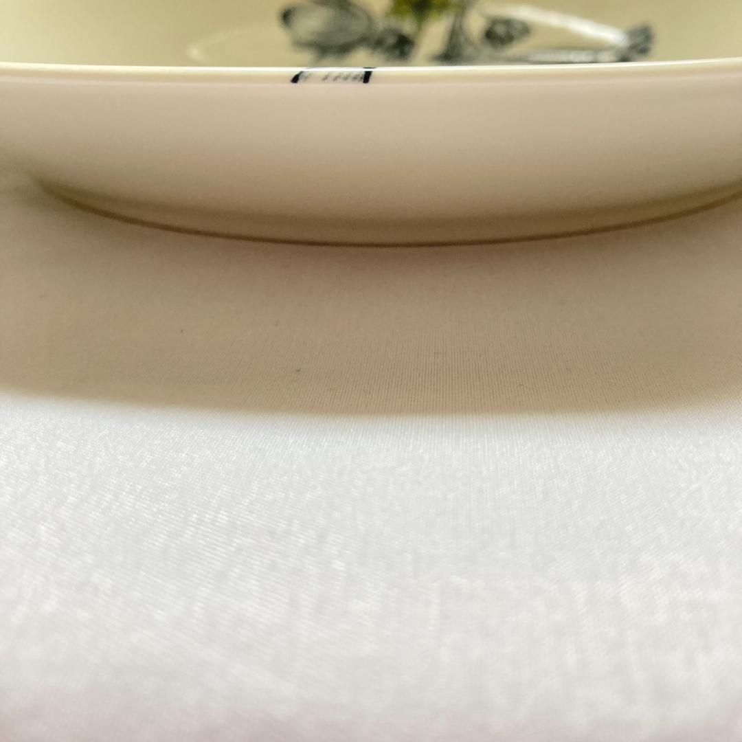 ARABIA　アラビア　Runo　ルノ　スプリングドロップ　26cm　2枚