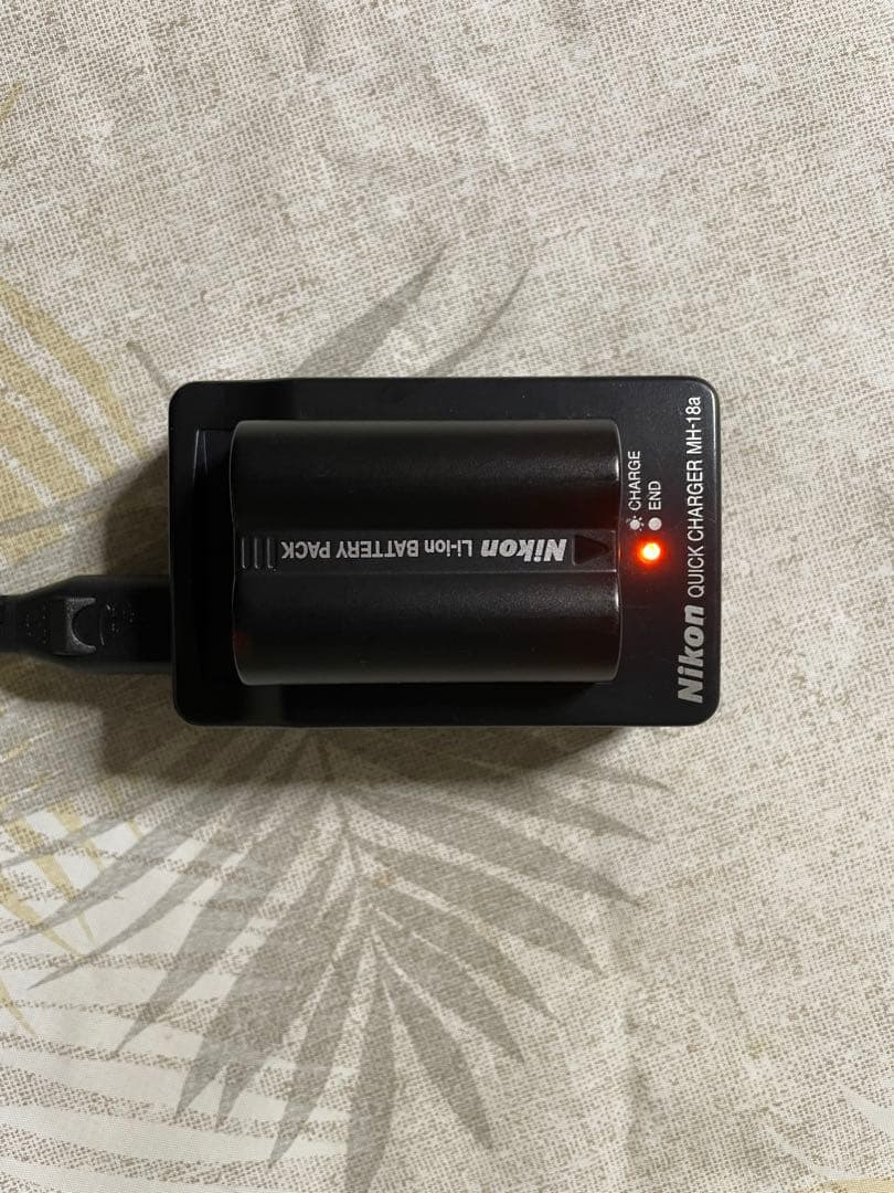 Nikon デジタル一眼レフカメラ ズームレンズ付き　D 70s