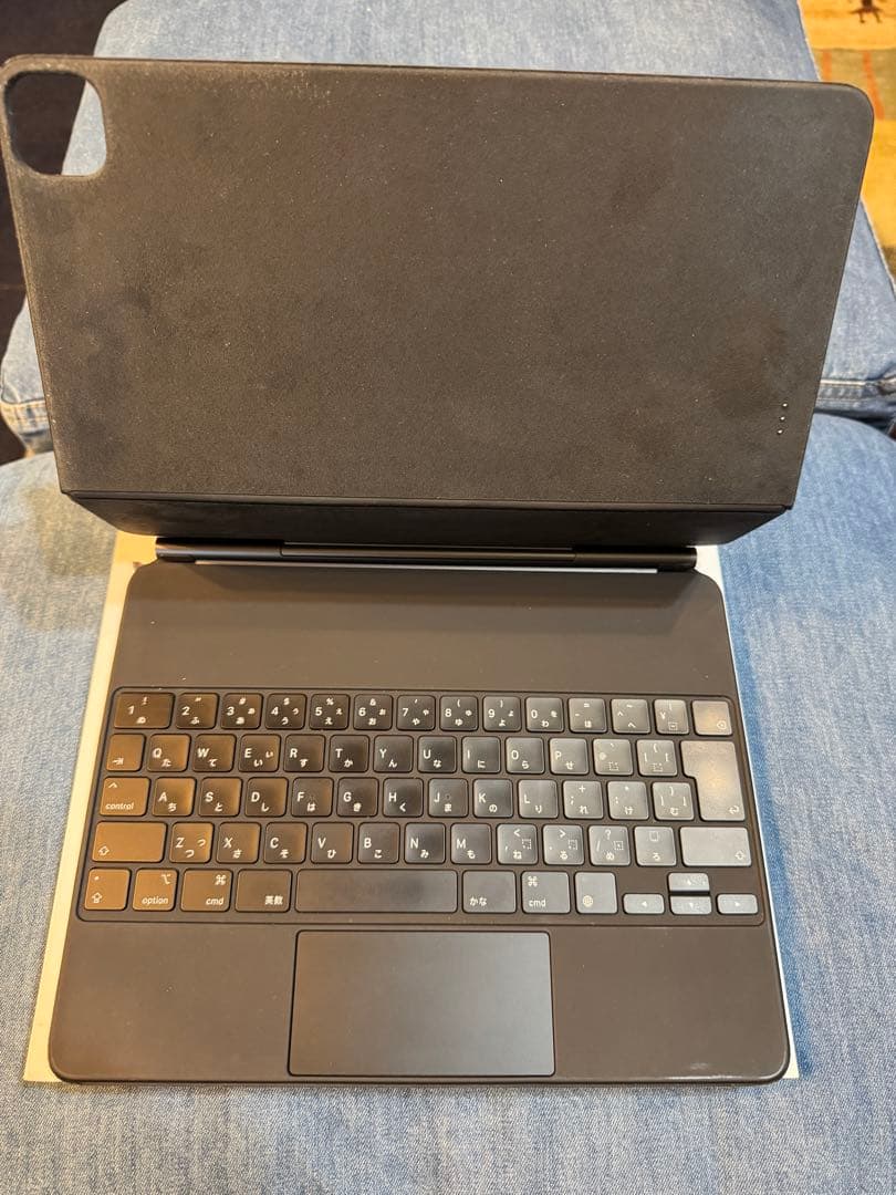 iPad Pro (第5世代) 12.9インチ 2TB セルラーSIMフリー