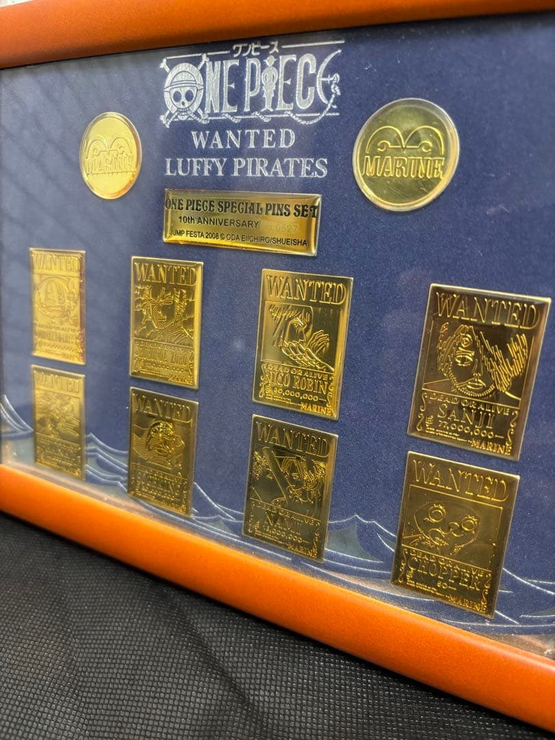 ONE PIECE 10周年1000個限定 シリアルナンバー入りピンズセット