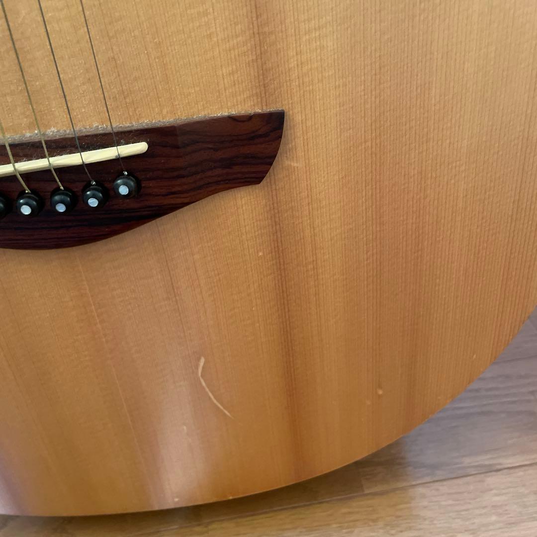 Earth アコースティックギター