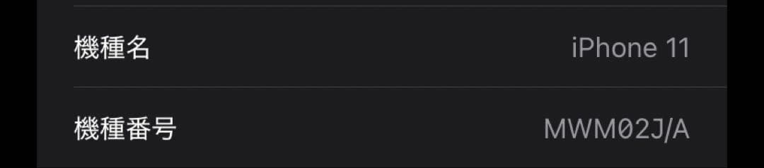 Apple iPhone 11 ブラック 128GB