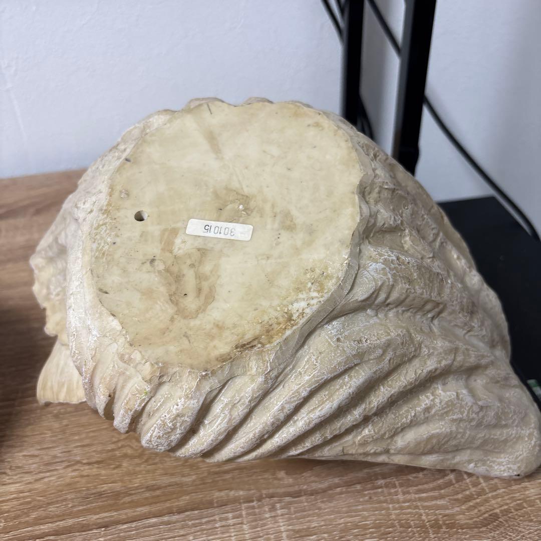 天使　置物　シェル　彫刻像　状態美品　最安値