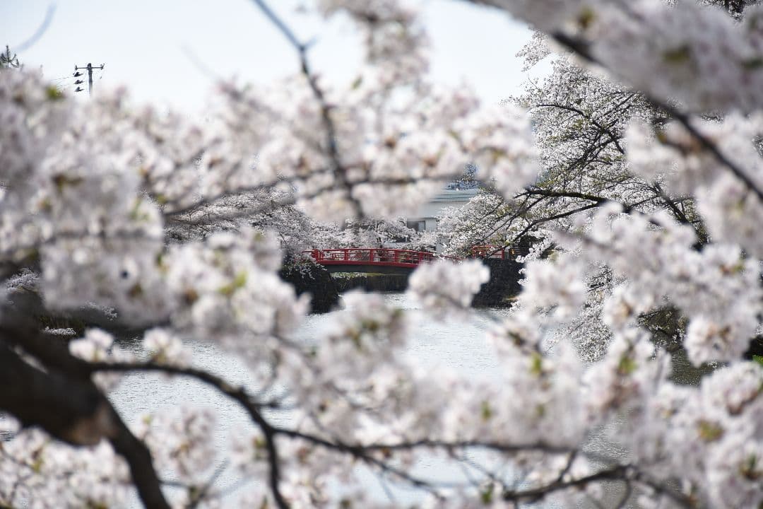 Nikon D7200　レンズ4本セット　オールド入り　バック、外箱付き