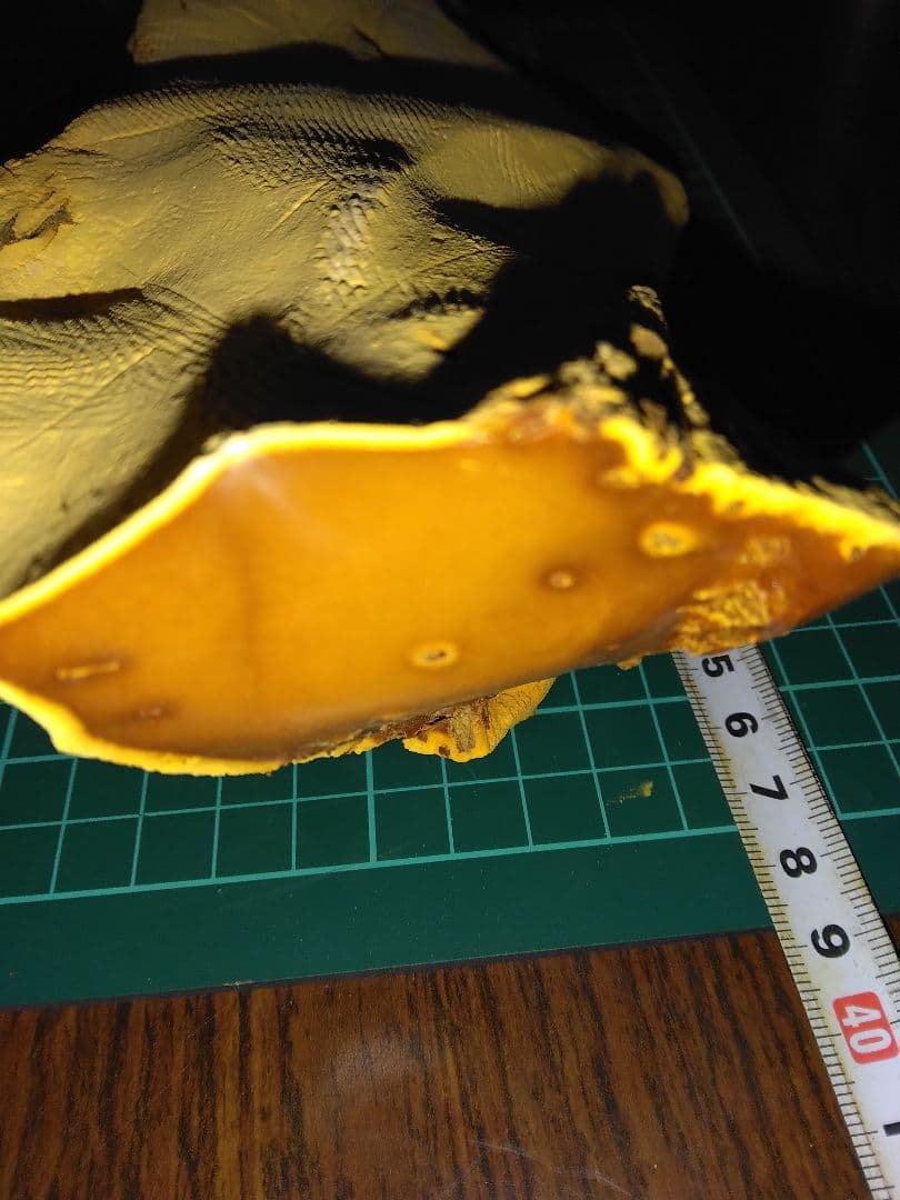 珪化木？産地不明　内部鉱物化　鉱物標本　不思議な石　オパール化？