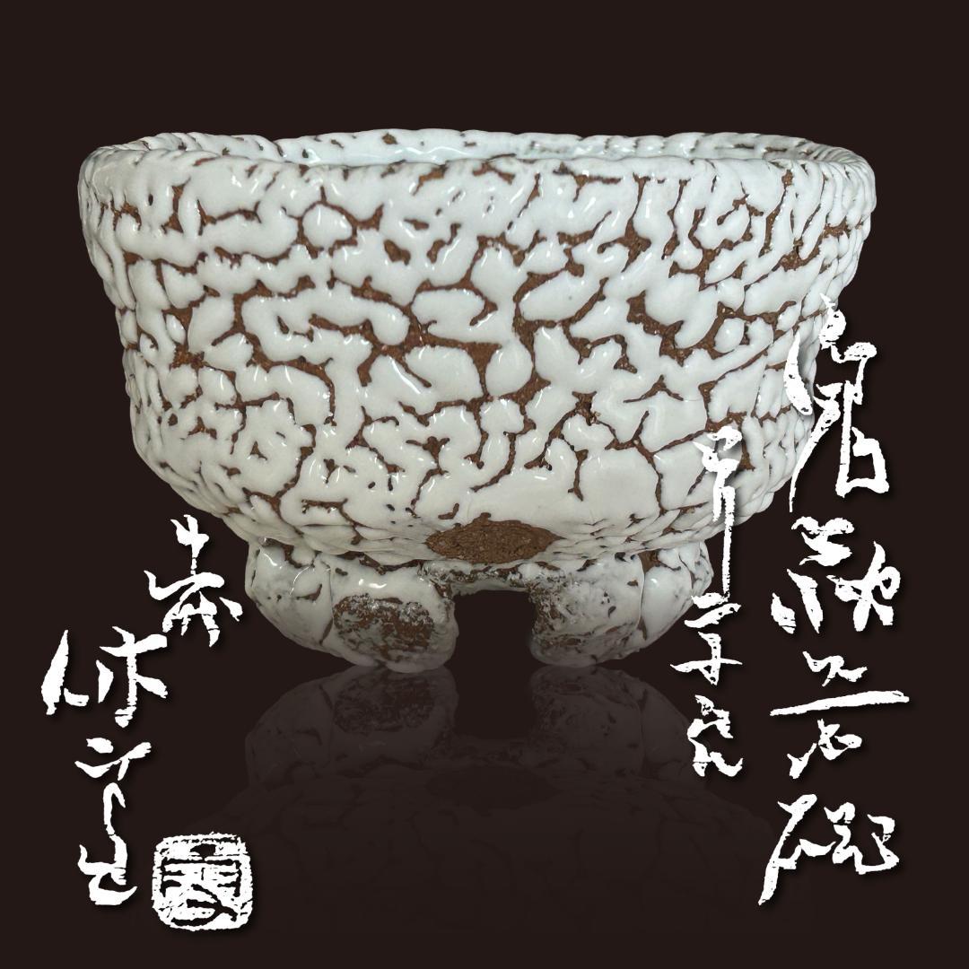 ◆ 十一代休雪 鬼萩茶碗「彩雲」 | 表千家十四代 而妙斎 花押 ◆b245