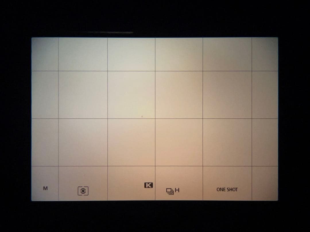 Canon キヤノン EOS-1D X Mark II 一眼レフカメラ 本体