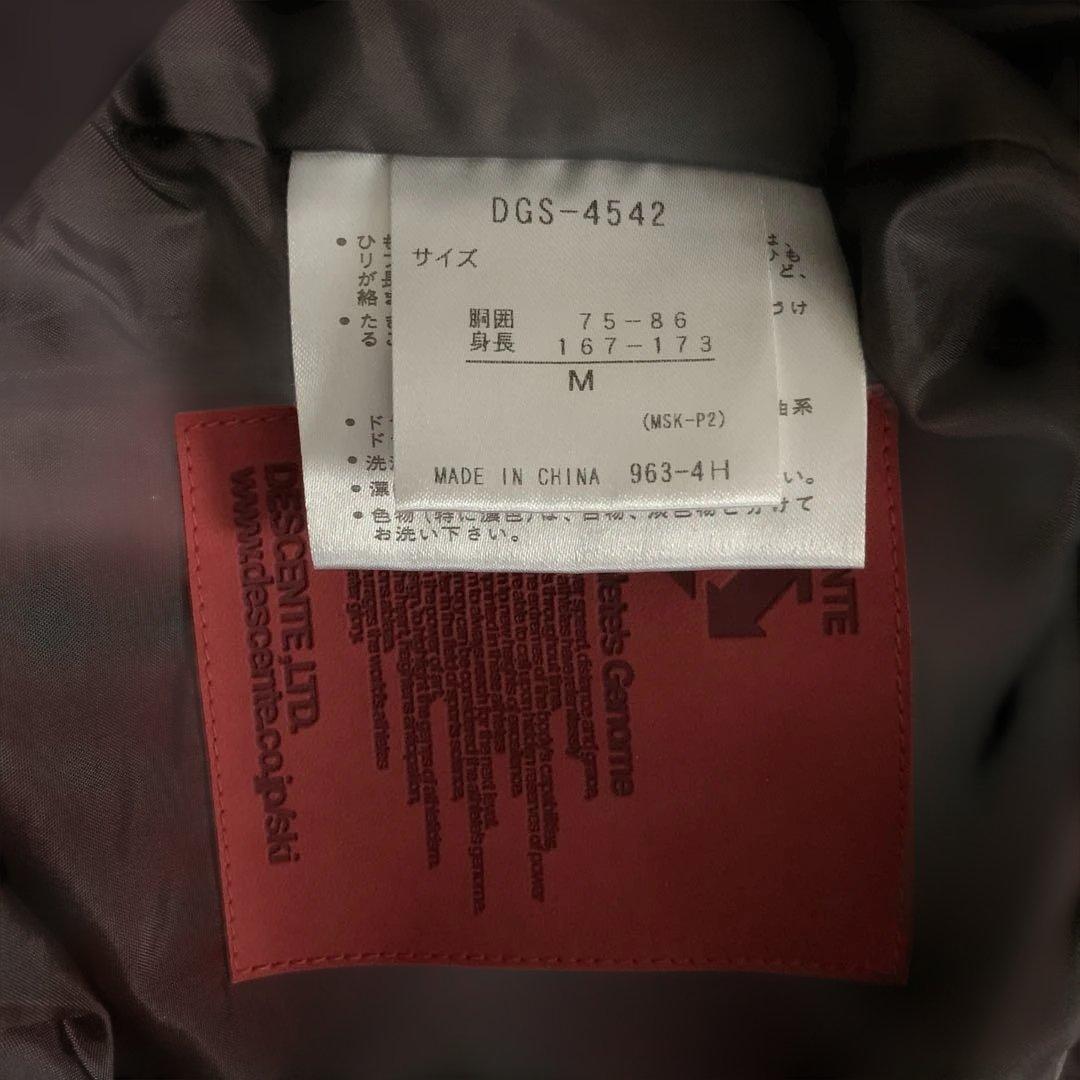 DESCENTE スキーウェア上下セット（男性用）上着Ｌ・パンツMサイズ