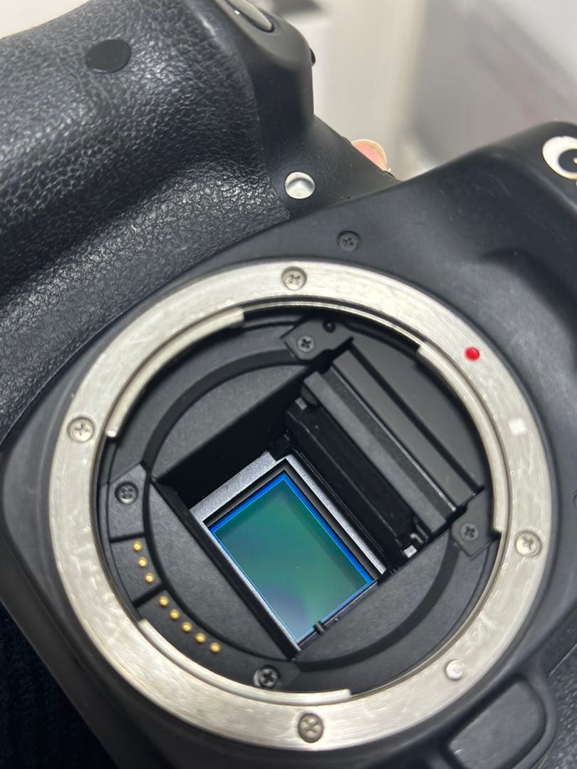 CANON EOS 80D ボディ本体