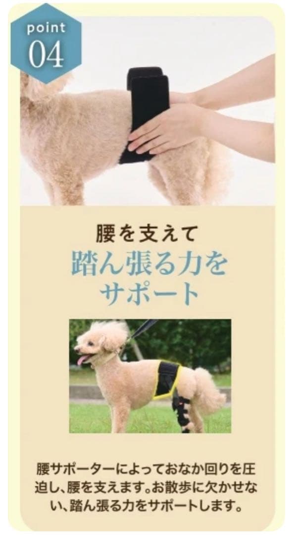 アニサポ ニー anifull 犬用 膝サポーター 前十字靭帯