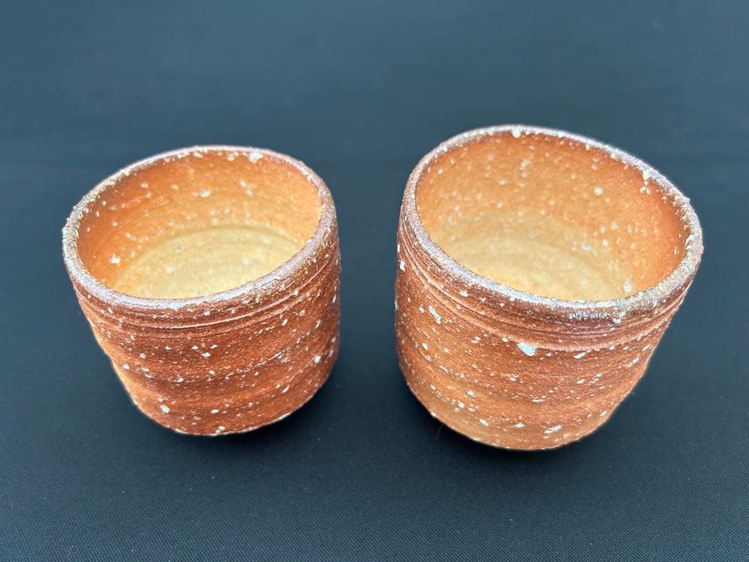 信楽焼　湯のみ　高橋楽斎　木箱付き